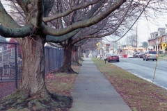 1221_VITO_G400_005